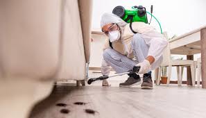 Best Pest Control for Warehouses  in Llano, TX